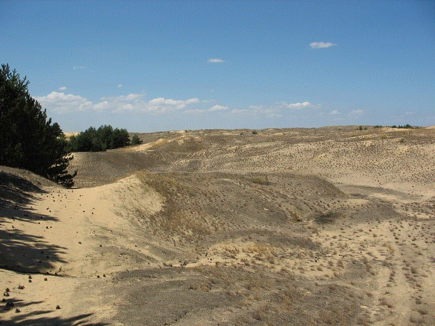 старатель