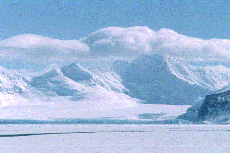 старатель