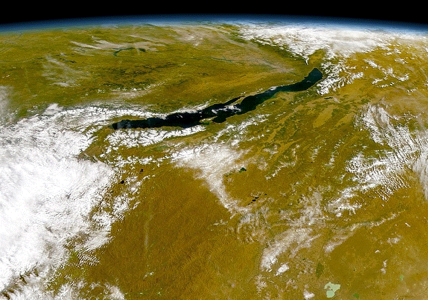старатель